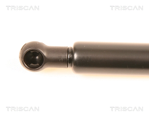 Gas Spring, boot/cargo area