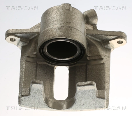 Brake Caliper (8175 25112)