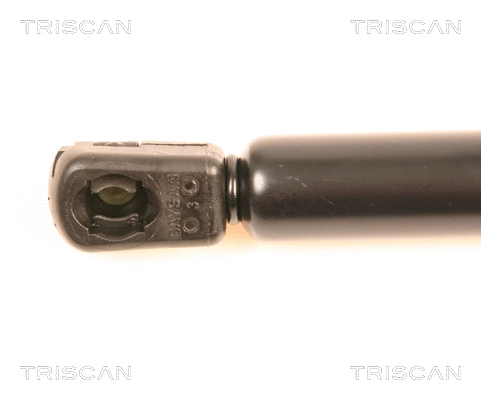 Gas Spring, boot/cargo area