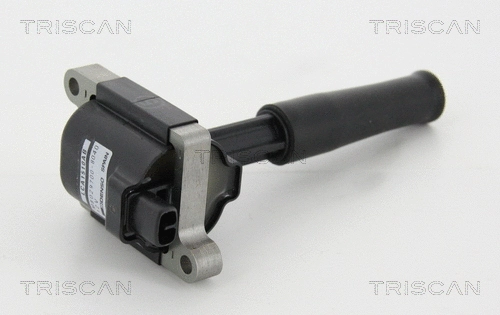 Ignition Coil (8860 10031)