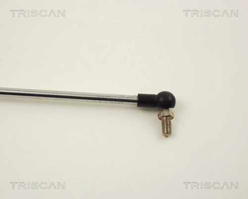 Gas Spring, boot/cargo area