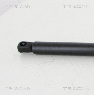 Gas Spring, boot/cargo area