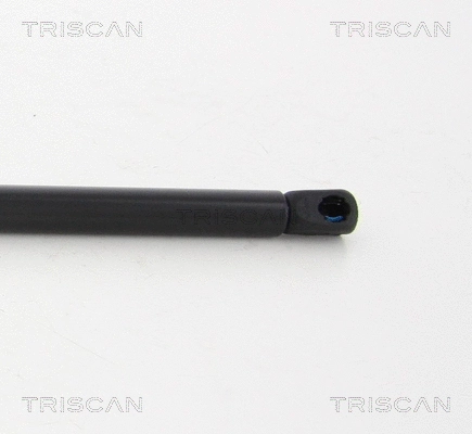 Gas Spring, boot/cargo area