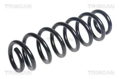 Suspension Spring (8750 29491)