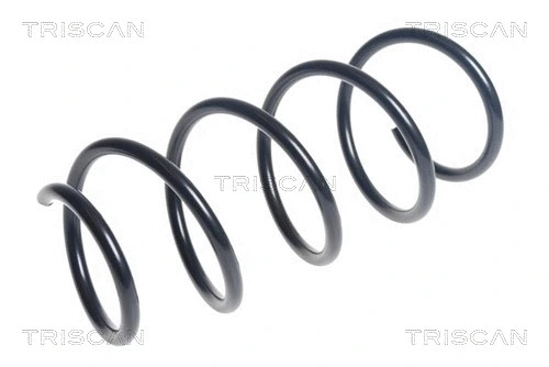 Suspension Spring (8750 29436)