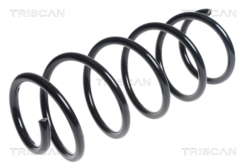 Suspension Spring (8750 28219)