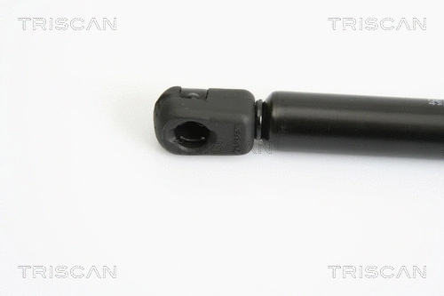 Gas Spring, boot/cargo area
