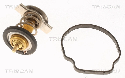 Thermostat, coolant (8620 50792)