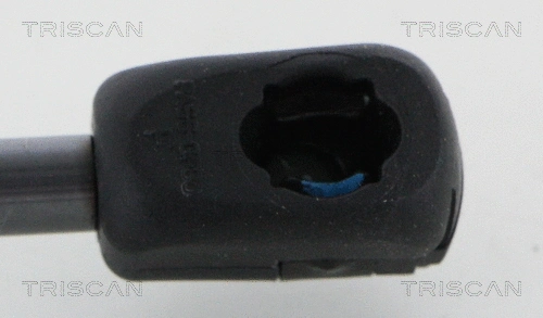 Gas Spring, boot/cargo area