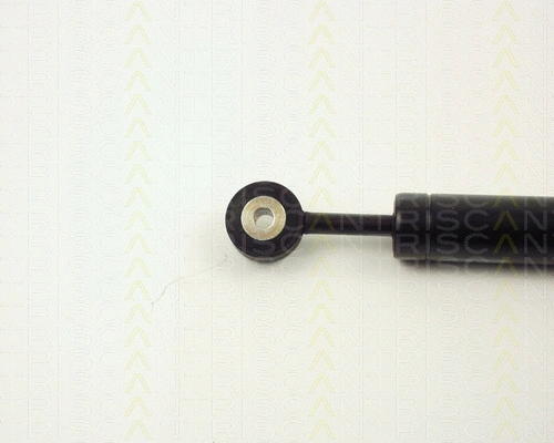 Vibration Damper, V-ribbed belt