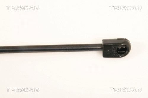 Gas Spring, boot/cargo area