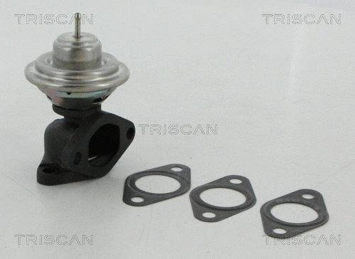 EGR Valve (8813 12100)