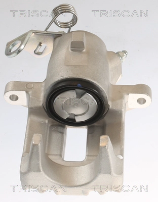 Brake Caliper (8175 29217)