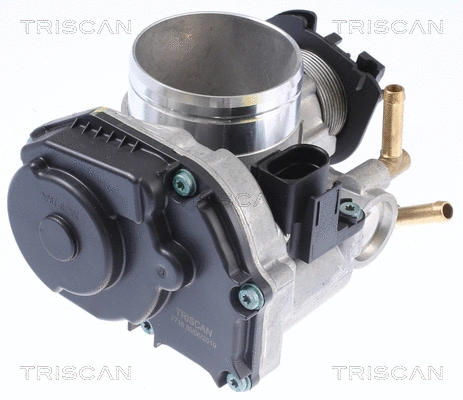 Throttle Body (8820 29025)