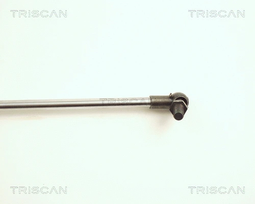 Gas Spring, boot/cargo area