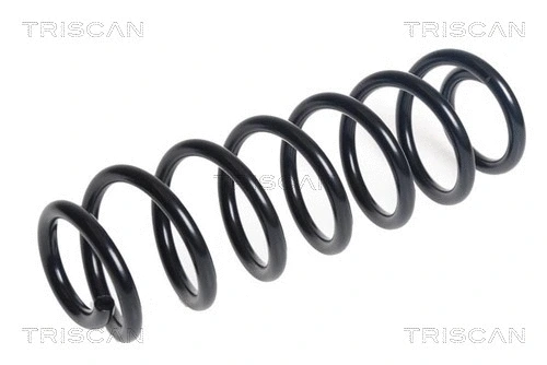 Suspension Spring (8750 29539)