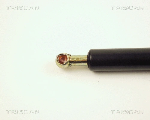 Gas Spring, boot/cargo area