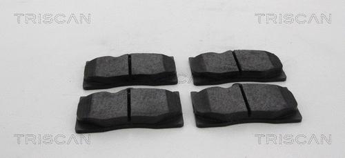 Brake Pad Set, disc brake (8110 13103)
