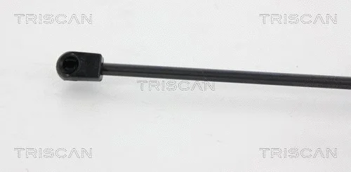 Gas Spring, boot/cargo area