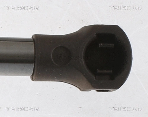 Gas Spring, boot/cargo area