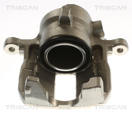 Brake Caliper (8175 23133)