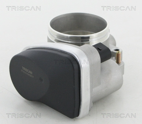 Throttle Body (8820 11002)