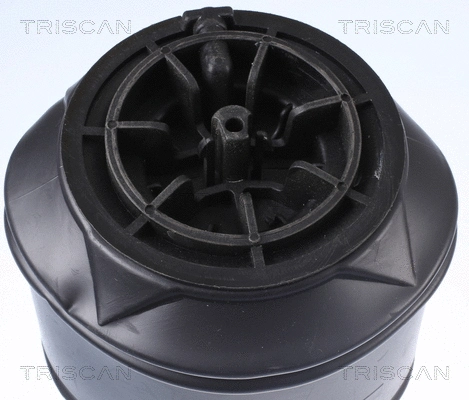 Air Spring, suspension