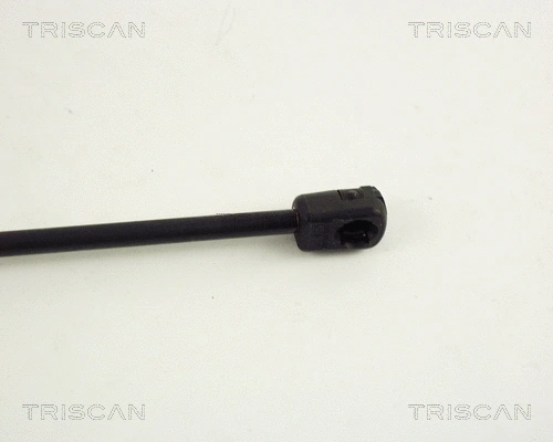 Gas Spring, boot/cargo area