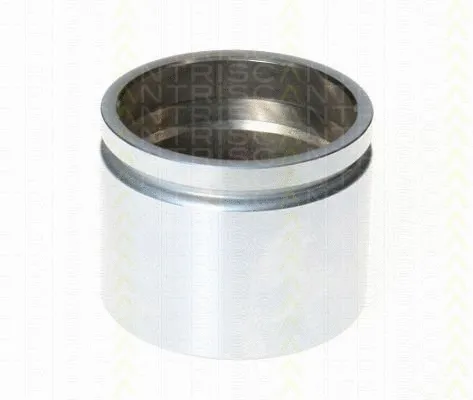Piston, brake caliper (8170 236602)