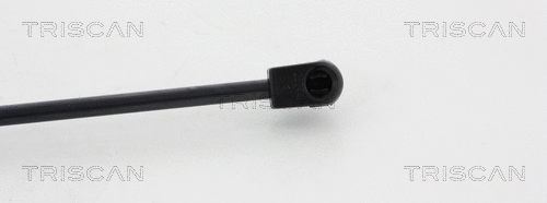 Gas Spring, boot/cargo area