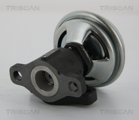 EGR Valve (8813 43005)