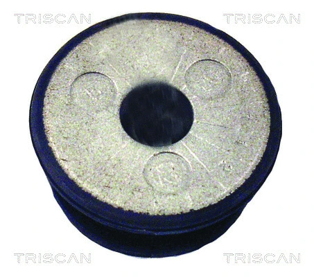 Bushing, axle beam (8500 29851)