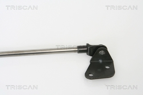 Gas Spring, boot/cargo area