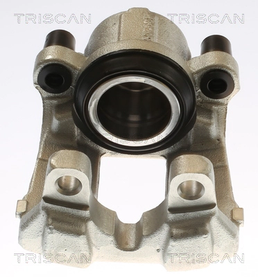 Brake Caliper (8175 13132)