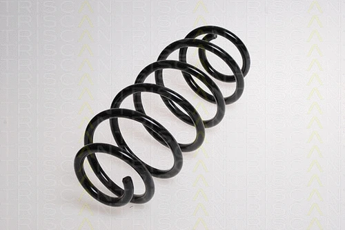 Suspension Spring (8750 13152)