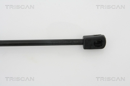 Gas Spring, boot/cargo area