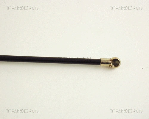 Gas Spring, boot/cargo area