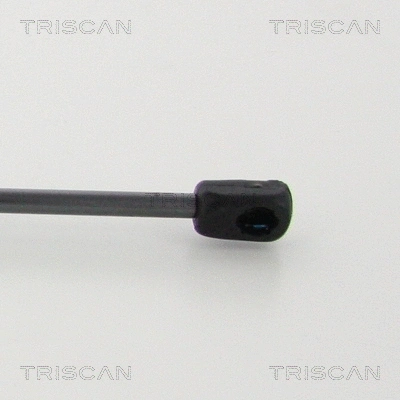 Gas Spring, boot/cargo area