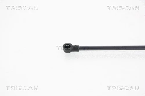 Gas Spring, boot/cargo area