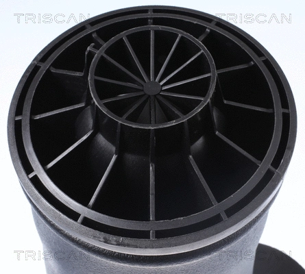 Air Spring, suspension