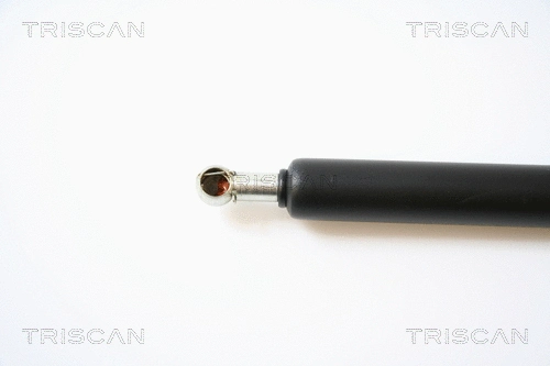 Gas Spring, boot/cargo area