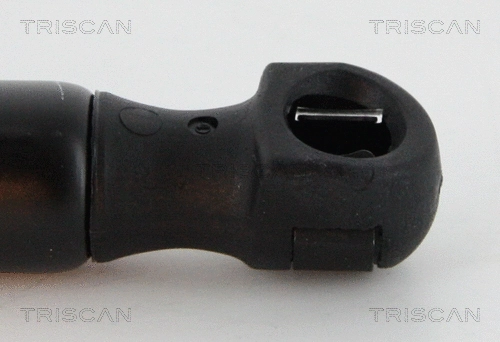 Gas Spring, boot/cargo area