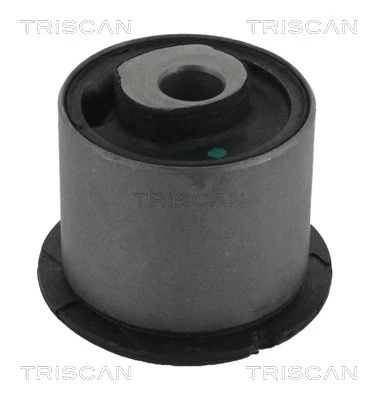 Mounting, control/trailing arm (8500 29818)