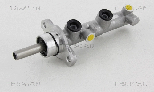 Brake Master Cylinder (8130 13131)
