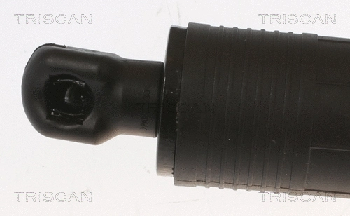 Gas Spring, boot/cargo area