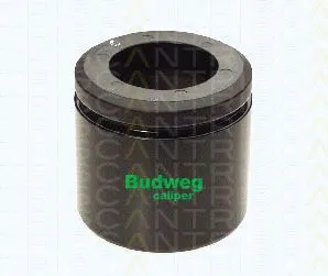 Piston, brake caliper (8170 236036)
