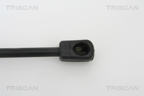 Gas Spring, boot/cargo area