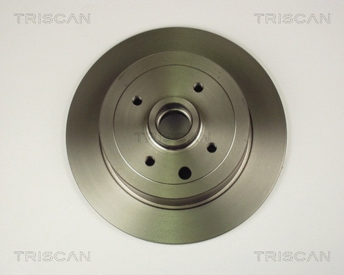 Brake Disc (8120 24111)