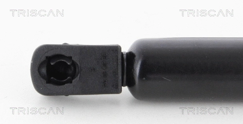 Gas Spring, boot/cargo area