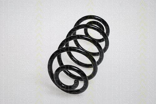 Suspension Spring (8750 25104)